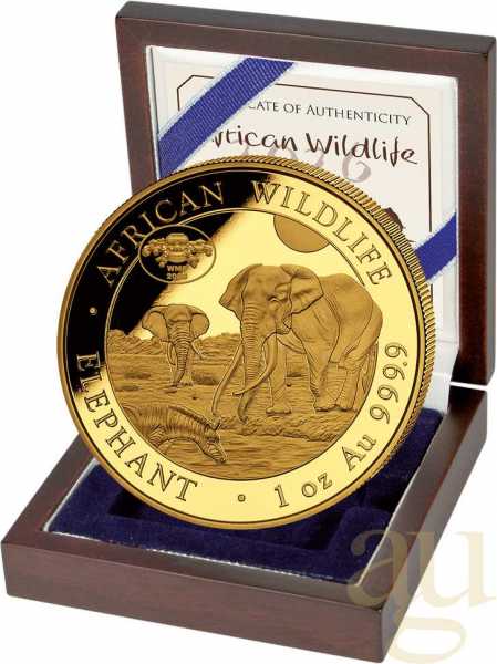 1 Unze Goldmünze Somalia Elefant 2026 - WMF Berlin