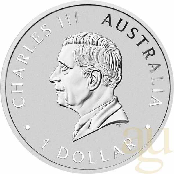 1 Unze Silbermünze Australien Wedge Tailed Eagle 2026 coloriert - Coincard