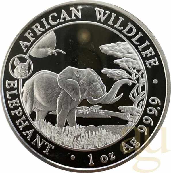1 Unze Silbermünze Somalia Elefant 2019 Privy Mark Schwein