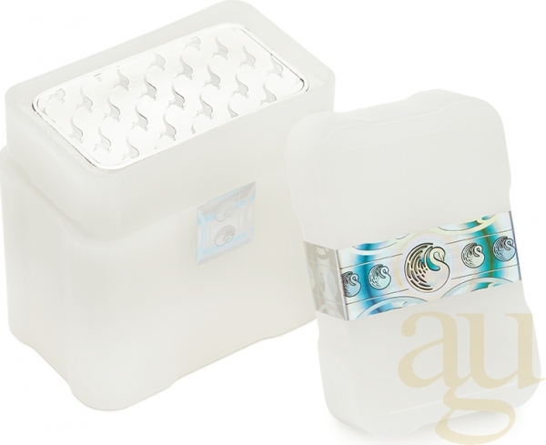 31,1 Gramm Silberbarren Perth Mint