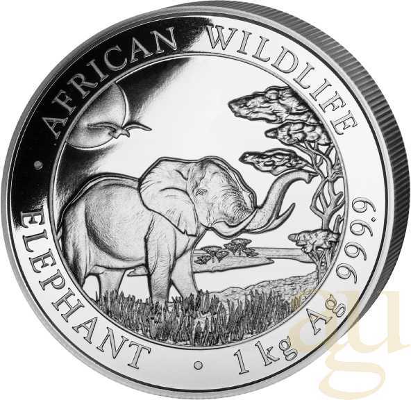 1 Kilogramm Silbermünze Somalia Elefant 2019