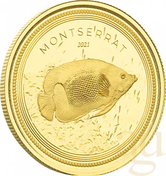 1 Unze Goldmünze EC8 Montserrat - Angelfish 2021