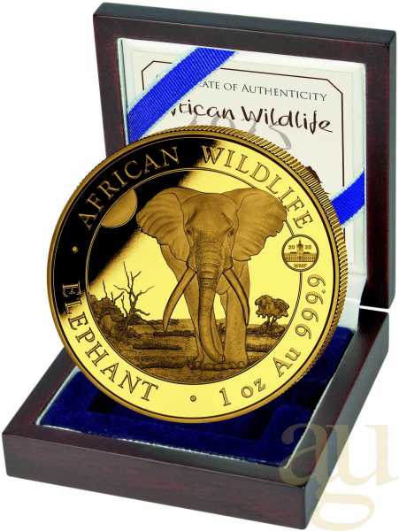 1 Unze Goldmünze Somalia Elefant 2025 - WMF Berlin